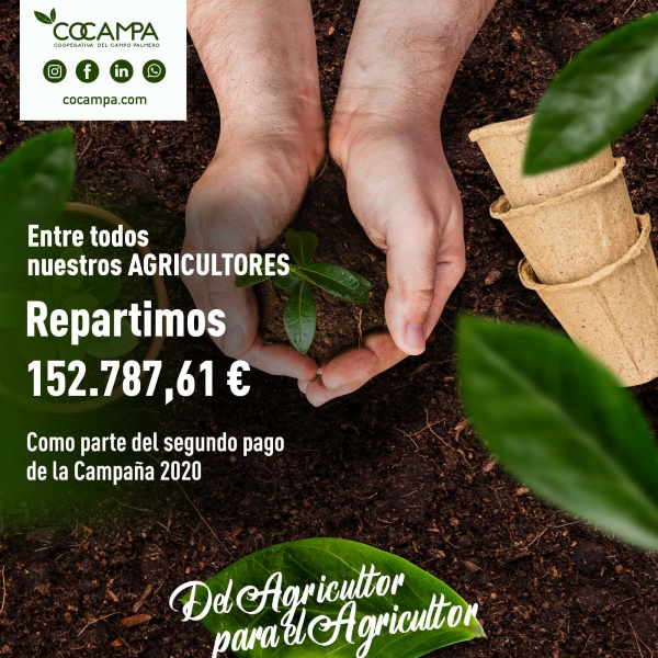 Pago ayuda complementaria