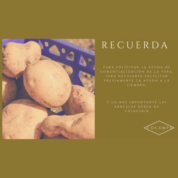 Te informa | COCAMPA