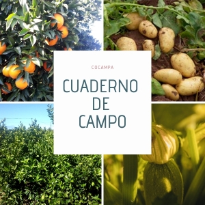 Cuaderno de campo