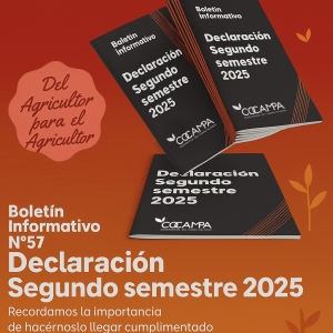 Declaración segundo semestre 2025