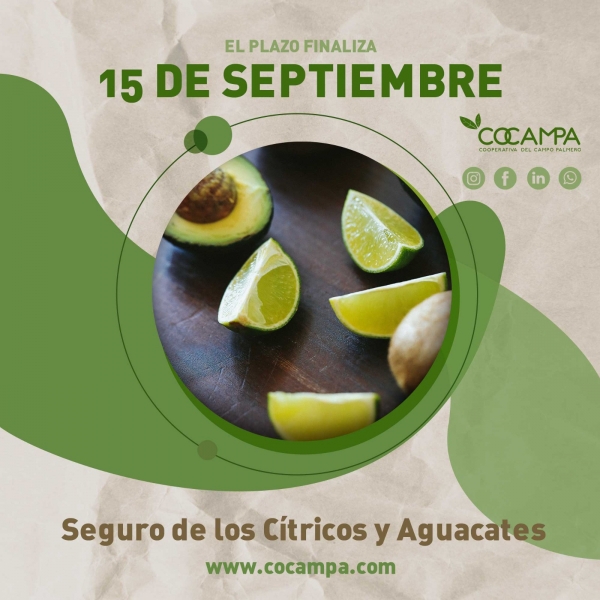 SEGURO DE AGUACATES/CITRICOS